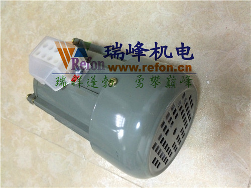 立式微型三相异步电动机AE-5634T2后面的图片
